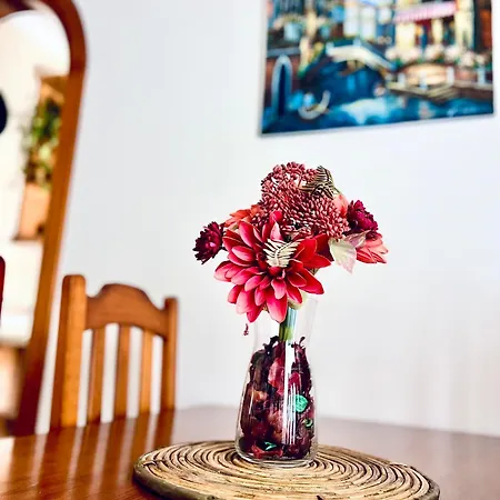 Costa Suri Casa Tatil Evi Nerja